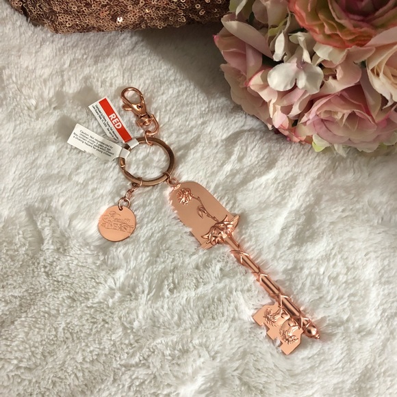 🥀 Beauty and the Beast Enchanted Rose - Picture 2 of 6